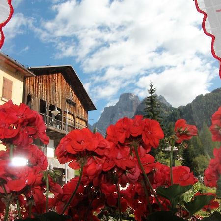 Dolomites Holidays سيلفا دي كادوري الغرفة الصورة