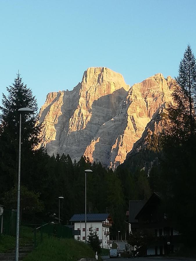Dolomites Holidays سيلفا دي كادوري المظهر الخارجي الصورة