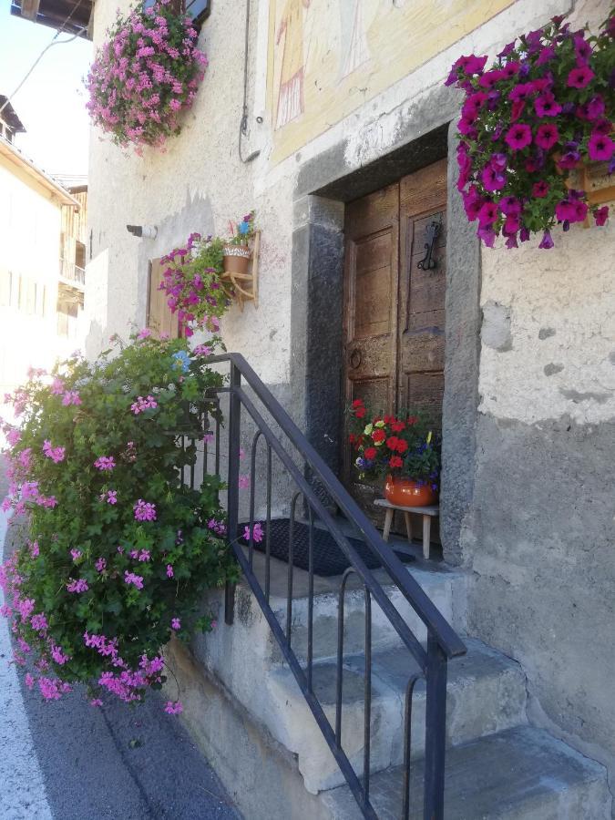Dolomites Holidays سيلفا دي كادوري المظهر الخارجي الصورة