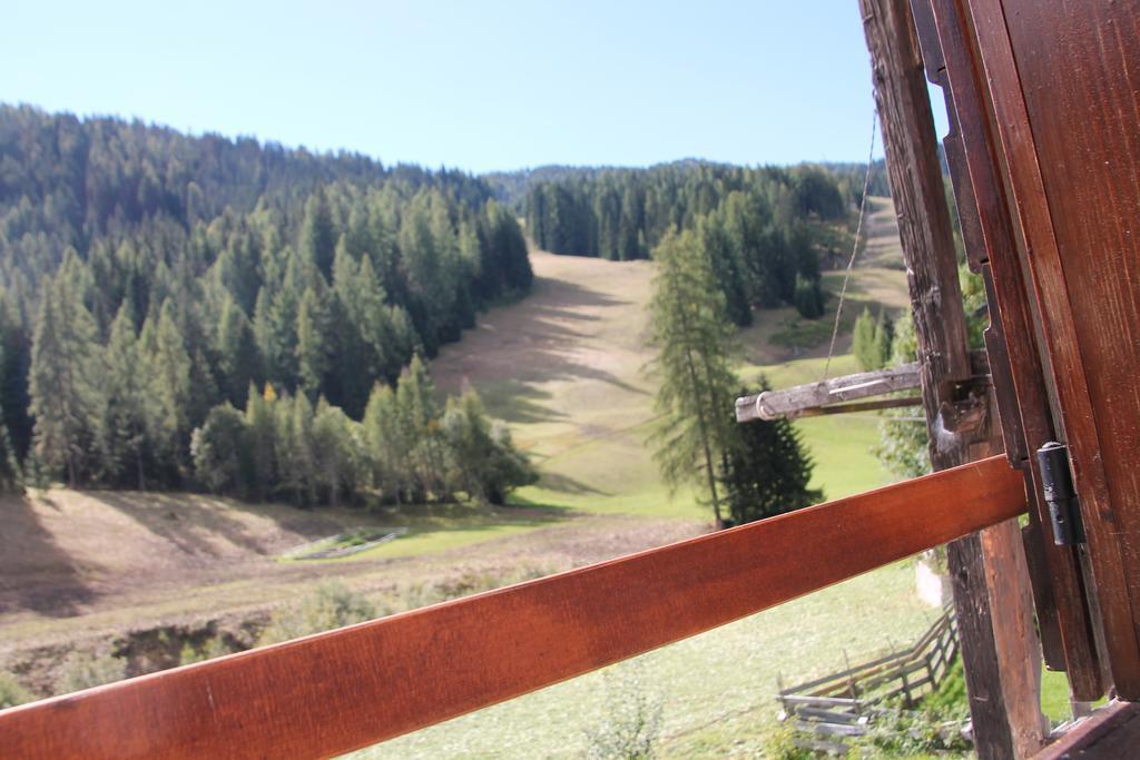 Dolomites Holidays سيلفا دي كادوري الغرفة الصورة