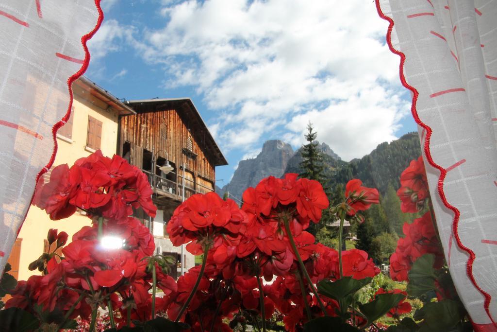 Dolomites Holidays سيلفا دي كادوري الغرفة الصورة